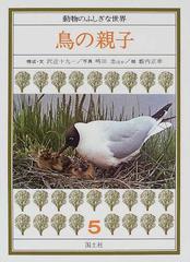 動物のふしぎな世界 ５ 鳥の親子の通販 沢近 十九一 藪内 正幸 紙の本 Honto本の通販ストア