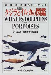クジラとイルカの図鑑 完璧版 オールカラー世界のすべての鯨類の通販 マーク カーワディーン 紙の本 Honto本の通販ストア