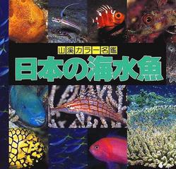 日本の海水魚の通販 岡村 収 尼岡 邦夫 紙の本 Honto本の通販ストア