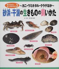 飼ってみよう 海べの生きもの ３ 砂浜 干潟の生きものの飼いかたの通販 松久保 晃作 紙の本 Honto本の通販ストア