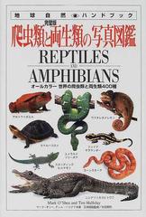 ハぺトロジー vol.1 HERPETOLOGY 2003 爬虫類 両生類 書籍