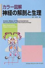カラー図解神経の解剖と生理