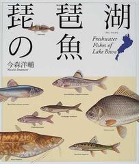 琵琶湖の魚の通販 今森 洋輔 紙の本 Honto本の通販ストア