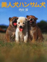 美人犬ハンサム犬 かわいいこいぬ写真集の通販 内山 晟 紙の本 Honto本の通販ストア