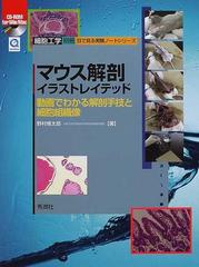 マウス解剖イラストレイテッド 動画でわかる解剖手技と細胞組織像の通販 野村 慎太郎 紙の本 Honto本の通販ストア