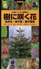 樹に咲く花 改訂第３版 合弁花 単子葉 裸子植物の通販 茂木 透 高橋 秀男 紙の本 Honto本の通販ストア