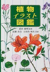 植物イラスト図鑑の通販 近藤 浩文 土居内 和夫 紙の本 Honto本の通販ストア