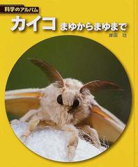 カイコ まゆからまゆまで 新装版の通販 岸田 功 紙の本 Honto本の通販ストア