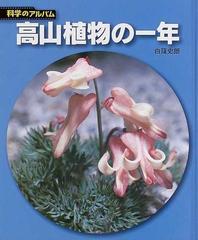 高山植物の一年 新装版の通販/白籏 史朗 - 紙の本：honto本の通販ストア