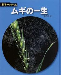 ムギの一生 新装版の通販/鈴木 公治 - 紙の本：honto本の通販ストア