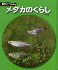 メダカのくらし 新装版の通販 草野 慎二 紙の本 Honto本の通販ストア