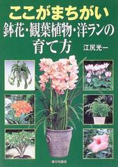 ここがまちがい鉢花 観葉植物 洋ランの育て方の通販 江尻 光一 紙の本 Honto本の通販ストア