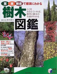 葉 実 樹皮で確実にわかる樹木図鑑 ここをおさえていれば 簡単に樹木の名前がわかるの通販 鈴木 庸夫 紙の本 Honto本の通販ストア