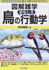 鳥のおもしろ行動学の通販 柴田 敏隆 紙の本 Honto本の通販ストア