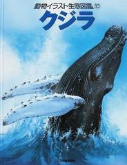動物イラスト生態図鑑 図書館版 １０ クジラの通販 ジョン フランシス バーナード ストーンハウス 紙の本 Honto本の通販ストア