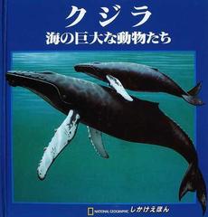 クジラ 海の巨大な動物たち しかけえほん