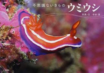 ウミウシの通販 今本 淳 紙の本 Honto本の通販ストア