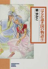 はるか遠き国の物語 １１ 新版/朝日新聞出版/碧ゆかこ朝日新聞出版