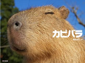 カピバラ １の通販 渡辺 克仁 紙の本 Honto本の通販ストア