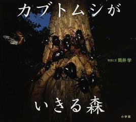 カブトムシがいきる森の通販 筒井 学 紙の本 Honto本の通販ストア