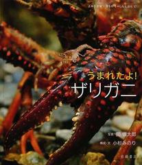 うまれたよ！ザリガニの通販/関 慎太郎/小杉 みのり - 紙の本：honto本