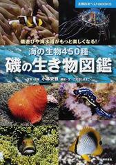 磯の生き物図鑑 海の生物４５０種 磯遊びや海水浴がもっと楽しくなる の通販 小林 安雅 こばやし まさこ 紙の本 Honto本の通販ストア