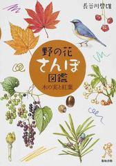 野の花さんぽ図鑑 木の実と紅葉の通販 長谷川 哲雄 紙の本 Honto本の通販ストア