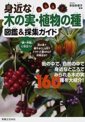 身近な木の実 植物の種図鑑 採集ガイドの通販 多田 多恵子 紙の本 Honto本の通販ストア