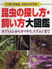 昆虫の探し方 飼い方大図鑑 コツをつかめば きみにもできる カブトムシからカマキリ スズムシまでの通販 藤丸 篤夫 紙の本 Honto本の通販ストア 昆虫の探し方 飼い方大図鑑 コツをつかめば きみにもできる カブトムシからカマキリ スズムシまでの通販 藤丸 篤夫 紙の本 Honto本の通販ストア