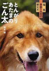 とんがりあたまのごん太 福島余命１カ月の被災犬の通販 仲本 剛 紙の本 Honto本の通販ストア