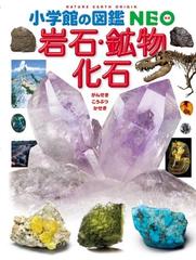 岩石・鉱物・化石の通販/萩谷 宏/堀 秀道 - 紙の本：honto本の通販ストア