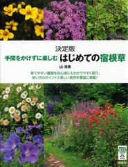 手間をかけずに楽しむはじめての宿根草 決定版の通販 山 浩美 今日から使えるシリーズ 実用 紙の本 Honto本の通販ストア