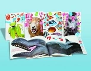 ほんとのおおきさ 第Ⅱ期 4巻セット