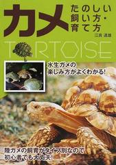 カメたのしい飼い方 育て方 初心者でも大丈夫の通販 江良 達雄 紙の本 Honto本の通販ストア