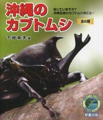 沖縄のカブトムシ 全６種 知っていますか？沖縄在来のカブトムシのこと… （沖縄の自然シリーズ）