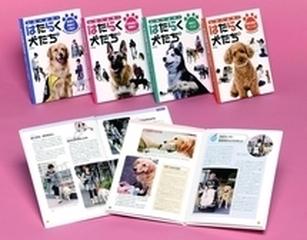 しらべよう はたらく犬たち 4巻セットの通販 紙の本 Honto本の通販ストア