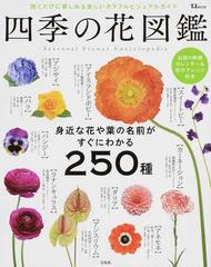 四季の花図鑑 身近な花や葉の名前がすぐにわかる２５０種 開くたびに楽しめる美しいカラフルビジュアルガイド 出回り時期カレンダー 花のアレンジ付きの通販 Tj Mook 紙の本 Honto本の通販ストア