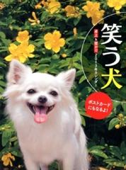 笑う犬カレンダー ２０１３の通販 紙の本 Honto本の通販ストア