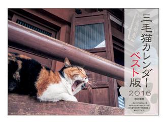 三毛猫カレンダー16 ベスト版の通販 黒猫房 紙の本 Honto本の通販ストア