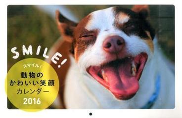 スマイル 動物のかわいい笑顔カレンダー ２０１６の通販 紙の本 Honto本の通販ストア