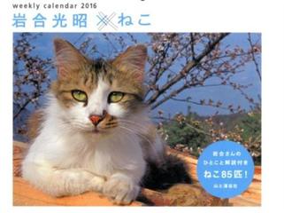 岩合光昭 ねこカレンダー ２０１６の通販 岩合 光昭 紙の本 Honto本の通販ストア