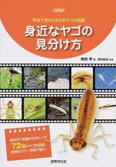 身近なヤゴの見分け方 平地で見られる主なヤゴの図鑑