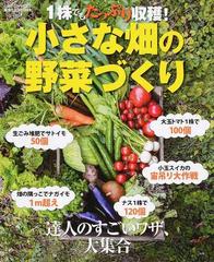 1株でもたっぷり収穫 小さな畑の野菜づくり 達人のすごいワザ 大集合の通販 斎藤 忠 学研mook 紙の本 Honto本の通販ストア 1株でもたっぷり収穫 小さな畑の野菜づくり 達人のすごいワザ 大集合の通販 斎藤 忠 学研mook 紙の本 Honto本の通販ストア