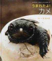 うまれたよ！カメの通販/関 慎太郎 - 紙の本：honto本の通販ストア