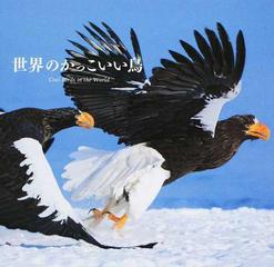 世界のかっこいい鳥の通販 上田恵介 笠原里恵 紙の本 Honto本の通販ストア