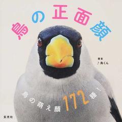 鳥の正面顔 鳥の萌え顔１７２種 の通販 鳥くん 紙の本 Honto本の通販ストア