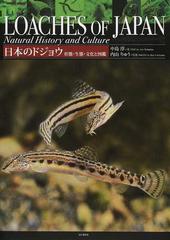 日本のドジョウ 形態 生態 文化と図鑑の通販 中島 淳 内山 りゅう 紙の本 Honto本の通販ストア