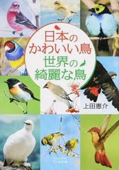 日本のかわいい鳥世界の綺麗な鳥の通販 上田恵介 だいわ文庫 紙の本 Honto本の通販ストア