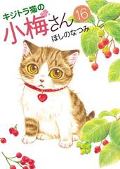 キジトラ猫の小梅さん（16）（漫画）の電子書籍 - 無料・試し読みも