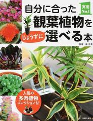 自分に合った観葉植物をじょうずに選べる本の通販 薮 正秀 主婦の友社 紙の本 Honto本の通販ストア